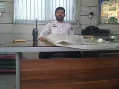 اين منم