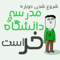 خر است