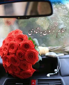 ‌ ❄ ️✨ 🌼 ✨ ❄ ️✨ 🌼 ✨ ❄ ️