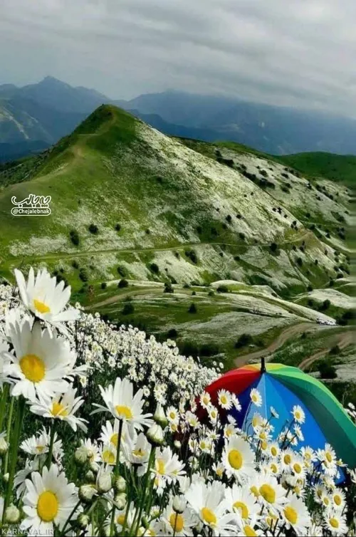 عجب منظره ای😍