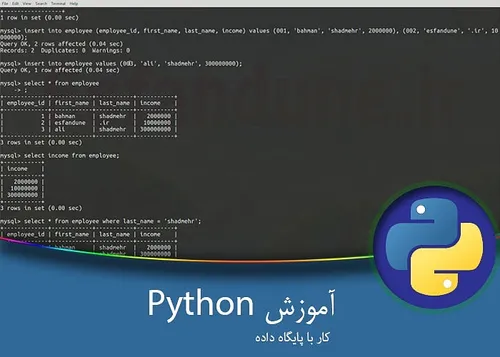 آموزش برنامه نویسی پایتون - پایگاه داده 2