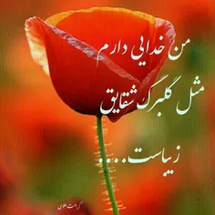 من خدایی دارم،