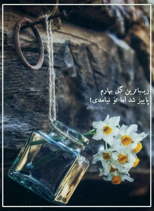 یا صاحب الزمان (عج)❤🌼