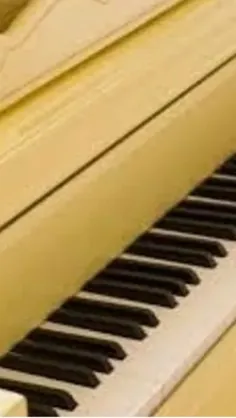 ── .✦ Limyori 🛵 ⋮ 🌻⌗ ┆⊹ ࣪ ˖ˎ