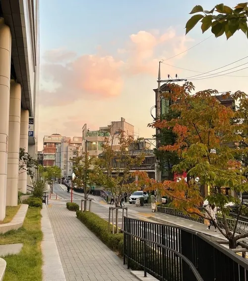 کره🇰🇷