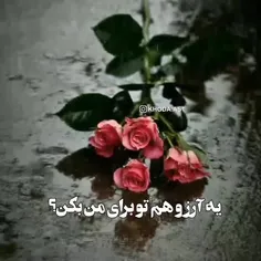 آره آرزویم برا توست که داری میبینی این کلیپ رو🙏