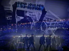 #superkings💙  #superjunior👑 💲