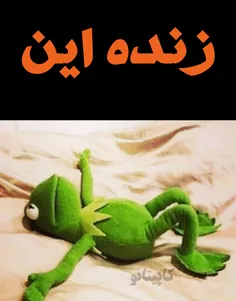 در چه حالین😬 😂