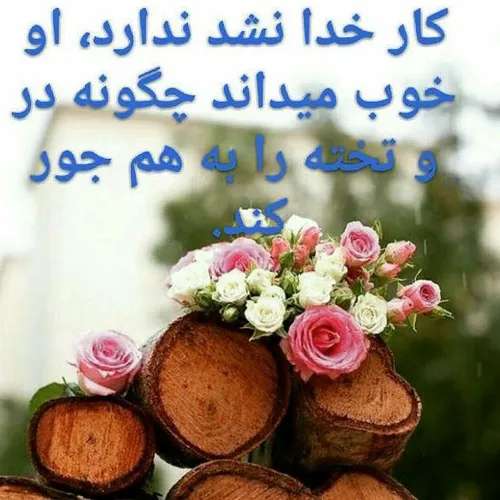 گوناگون mdsh1001 19204216 - عکس ویسگون