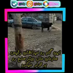 ❤کلی کلیپ  باحال داخل پیج گذاشتم ❤