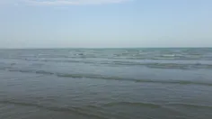 دریای زیبای خلیج فارس