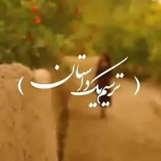 🍁💛 لیلی زیر درخت انار نشست..