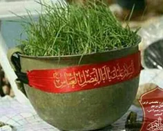 ‏️خوش بہ حال آنهایے