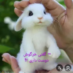 بچه ها ادیت خودمه امیدوارم خوشتون بیاد می‌دونم خوب نشده و