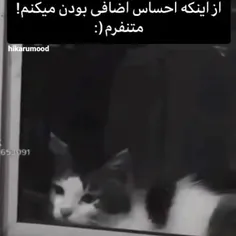 حققق🙂🙂