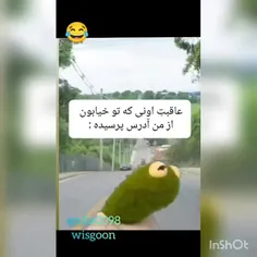 فالو کنید بخندید