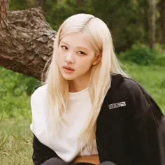 ── .✦ LimYuri🐲   ⋮ 🍈⌗ ┆⊹ ࣪ ˖ˎ