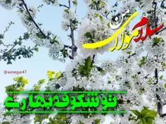 السلام علیک یا ابا صالح المهدی عج