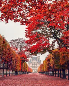 پاریس - باغ تویلری 