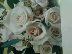 این گلها تقدیم به همه دوستان در ویسگون
