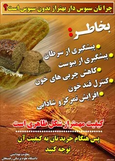 همه می‌گویند سبوس ماده غذایی مفیدی است اما دلیل مفید بودن