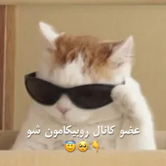 بیا دیگع اذیت نکن💯😉