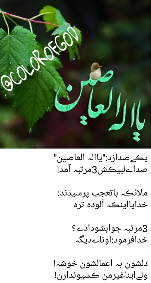 مذهبی narges3456 12931197 - عکس ویسگون