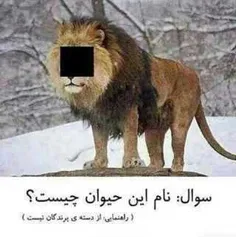 اگرنمیدونی،جواب نده....!!!!