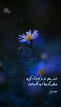 هنر عکاسی maryam231 35114705