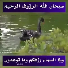 #بخشنده_و_مهربان_باشیم