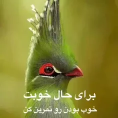 متنفرم