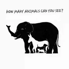 داخل این تصویر چندتا حیوان میبینید ؟باهوشا زود بگن