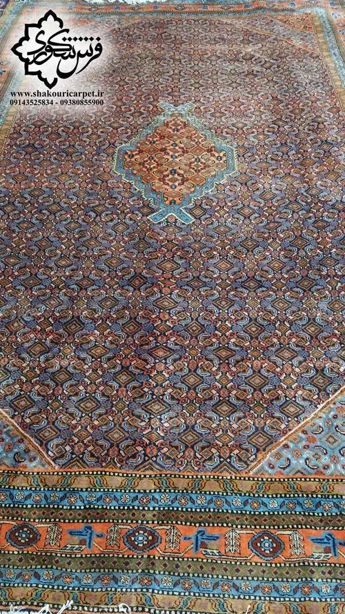 خرید فرش دستبافت 9 متری ریزماهی میراشرف اردبیل | گالری فرش شکوری