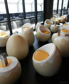 رستوران تخم مرغی در فرانسه