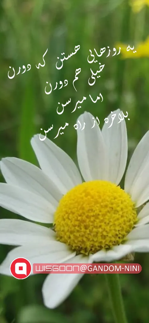 روزهای خوب در راهن... 😍 😍