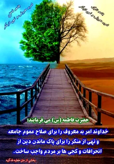 🌸 حضرت فاطمه سلام الله علیها دربخشی از خطبه فدکیه  می فرم