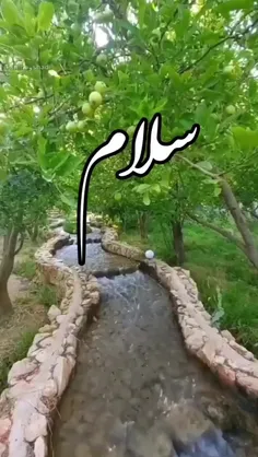 🍀سلام صبحتون  بخیر 