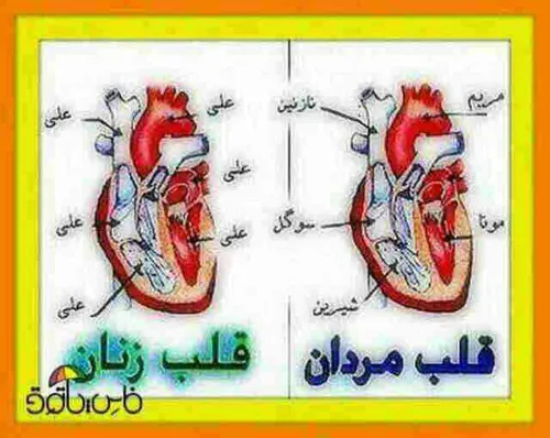 اصلا جای توضیح نداره واضحه!!!