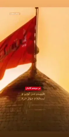 ضربان قلبمی حسین....