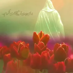 جهت تعجیل در فرج مولا بنویس یا مهدی 💚