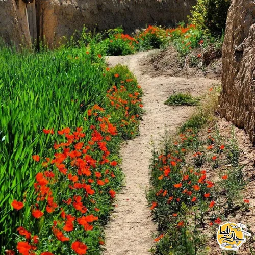 روستای خورهه محلات