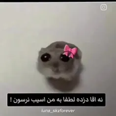 لطفا منو تاچ کن 🥲💔