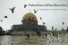 Palestine will be liberated. You should have no doubt abo