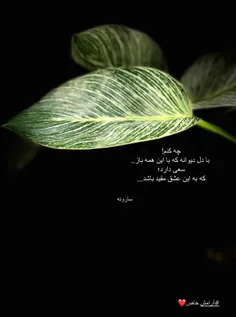 خدای‌من‌نمیدانم‌گاهی‌کجای‌دنیا‌گم‌ات‌میکنم