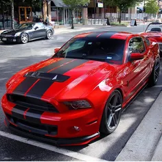 Ford-Shelby_