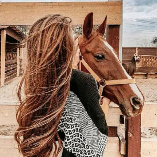 عاشق اسب.....❤ ❤