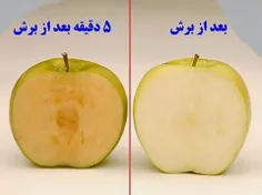 سیبی را از وسط دو نصف کنید و آن را به همین صورت در معرض ه