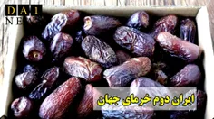 ایران دومین قطب تولید کننده خرما در جهان