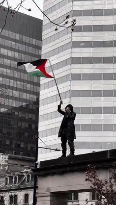 🔴 پرچم ایران و دهل‌زنی در اعتراضات مردمی به نسل کشی اسرائ