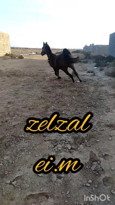 ei.mirza 45260212